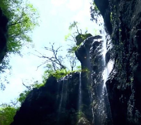 青山綠水，白龍江畔江畔息白鷺，兩岸綠橄欖入眼的都是純樸自然枝上花開(kāi)，春來(lái)水暖魚(yú)蝦戲水，鳥(niǎo)語(yǔ)花香心中充滿(mǎn)著舒暢之感祥宇生態(tài)產(chǎn)業(yè)園，位于隴南市武..